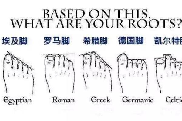 揭秘罗马脚的女人命运:她们的生活与选择 揭秘罗马脚的女人命运:她们的生活与选择