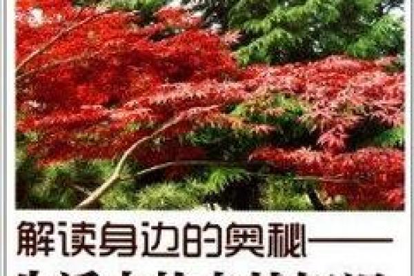 1984年属鼠的人生命运与性格分析:拨开迷雾,探寻生活的秘密 1984年属鼠的人生命运与性格分析:拨开迷雾,探寻生活的秘密