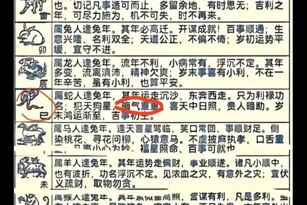 1999年兔年出生的人命运解析与运势指导 1999年兔年出生的人命运解析与运势指导