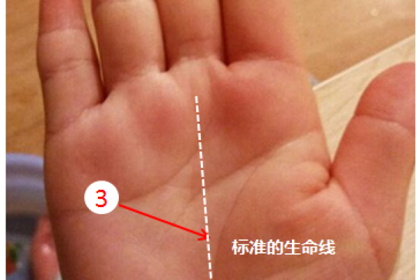 探索“命”的多重含义:从运势到生命的深刻思索 探索“命”的多重含义:从运势到生命的深刻思索