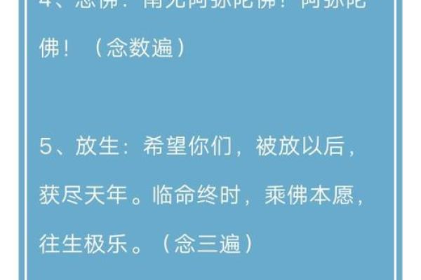 念佛改变命运的秘密与智慧探讨 念佛改变命运的秘密与智慧探讨
