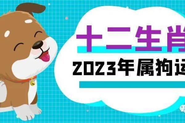 1982年属狗的命理解析与生活智慧 1982年属狗的命理解析与生活智慧