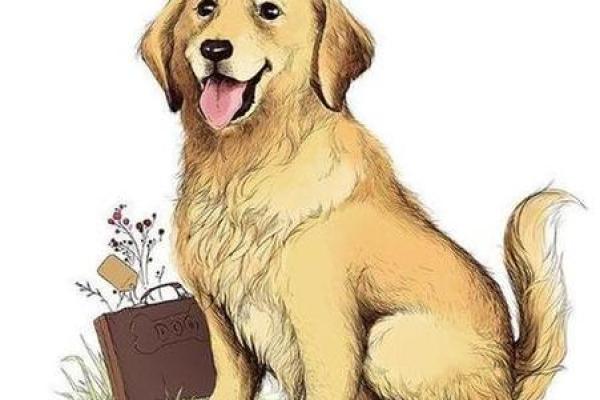 1982年属狗的命理解析与生活智慧 1982年属狗的命理解析与生活智慧