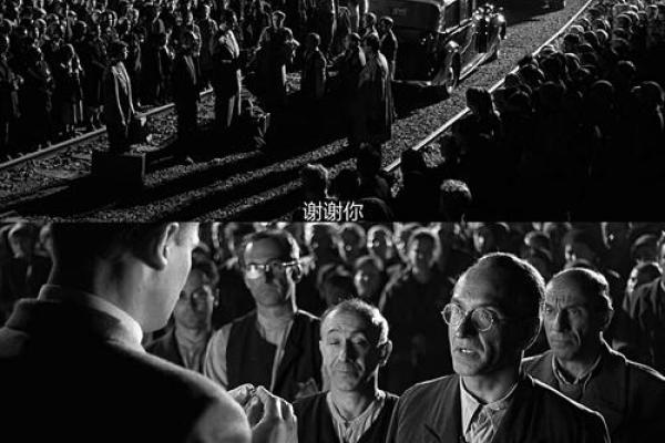 一命赔一命的深意：生命与选择的启示