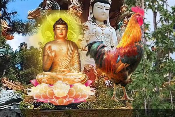 属鸡火命最佳牌子推荐及佩戴指南,助你顺风顺水! 属鸡火命最佳牌子推荐及佩戴指南,助你顺风顺水!