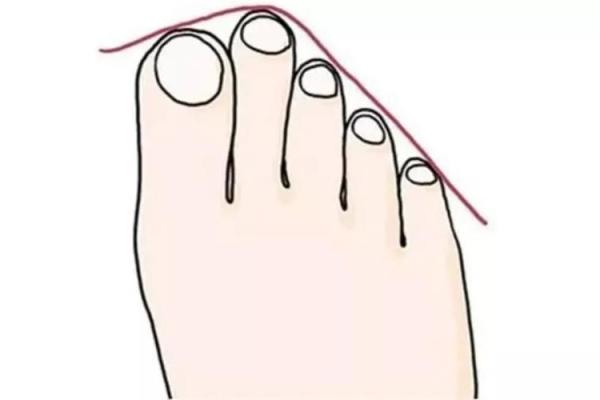 命贵的人的独特特点与生活智慧探秘