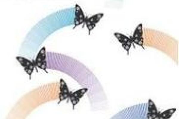 飞刀命格:命运的精妙切割与人生转机 飞刀命格:命运的精妙切割与人生转机