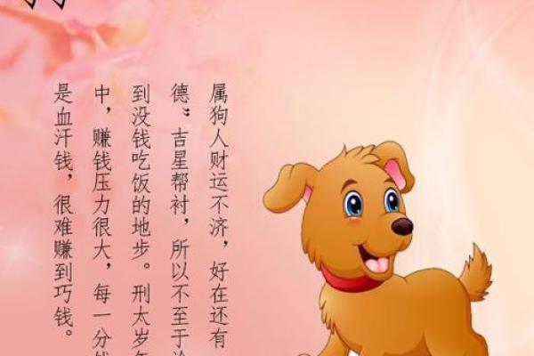 1965年属狗之命运解析:倾听狗年的智慧与运势 1965年属狗之命运解析:倾听狗年的智慧与运势