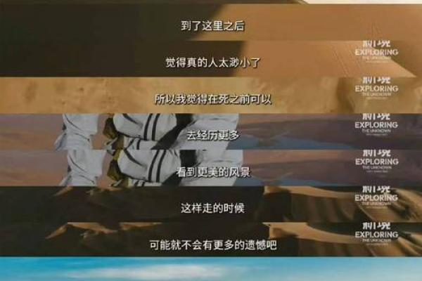 大学生活的真实面貌：探索自我与人际关系的奇幻旅程