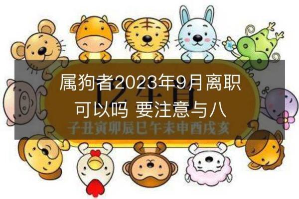 1994年属狗男性:命理解析与人生发展之路 1994年属狗男性:命理解析与人生发展之路