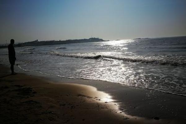 1988年出生的孩子命运分析:解读属龙人的人生轨迹 1988年出生的孩子命运分析:解读属龙人的人生轨迹