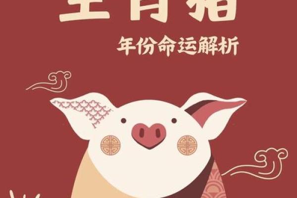 1983年属猪的命运:善良与智慧的完美结合 1983年属猪的命运:善良与智慧的完美结合