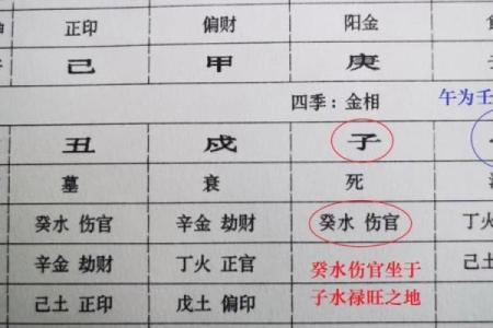 探索四柱命理中的食神：你的命格是否与食神相伴？