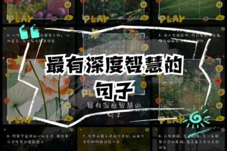 如命的深刻含义与生活智慧：探寻生命中的意义与价值