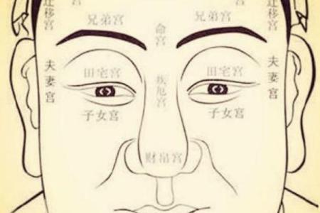 1992年出生的人命理解析：潜藏的智慧与前程之路