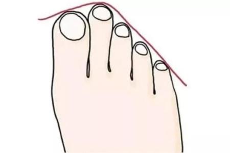 命贵的人的独特特点与生活智慧探秘