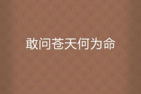 探寻“何为命”：生命的意义与价值的思考