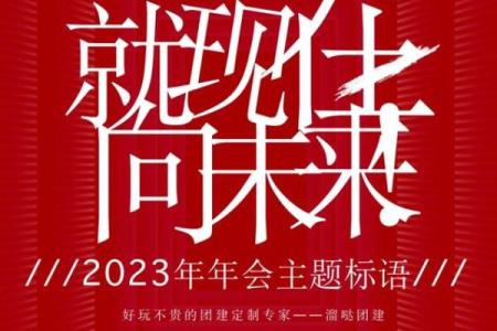 2023年属什么，属相命运解析与未来展望的精彩旅程