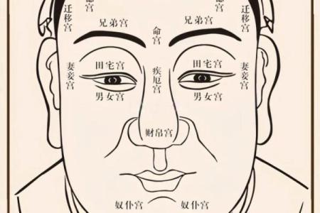 解析六两四命的命理特征及其吉凶影响
