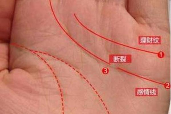 探秘2020年阴历生肖命理:你的命中注定是什么 探秘2020年阴历生肖命理:你的命中注定是什么