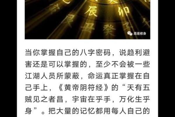 2014年小马命运：探索命理背后的故事与启示