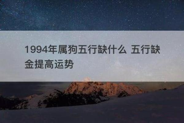 属狗的命运之谜:58年属狗人的性格与命理分析 属狗的命运之谜:58年属狗人的性格与命理分析