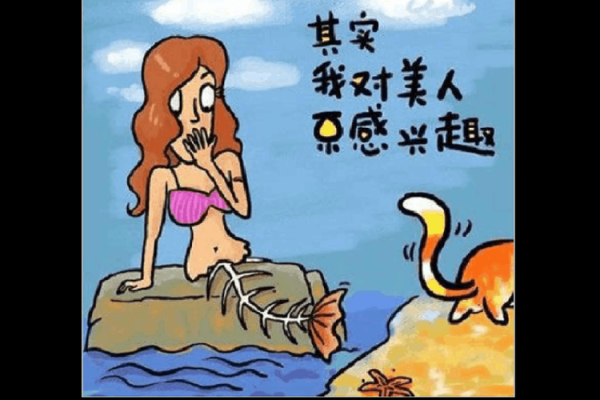 2017年1月的命运之歌:探寻人生的转折与启示 2017年1月的命运之歌:探寻人生的转折与启示