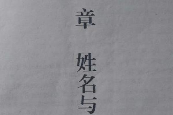 2019年属什么命:解析你的命理以及如何把握人生机遇 2019年属什么命:解析你的命理以及如何把握人生机遇