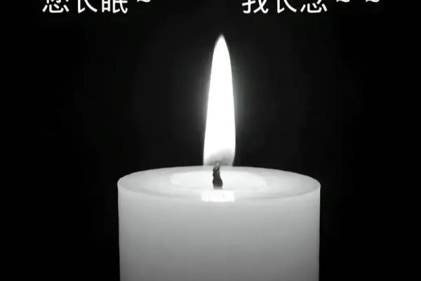 命由我主，不由他人：生命的选择与承担