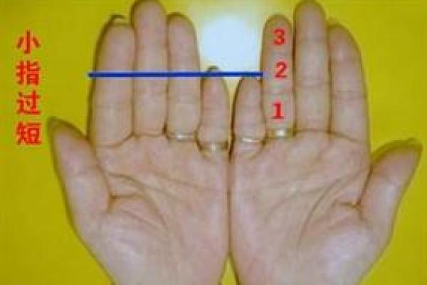 探秘女命走财运:解读她们的财富之路与命运轨迹 探秘女命走财运:解读她们的财富之路与命运轨迹