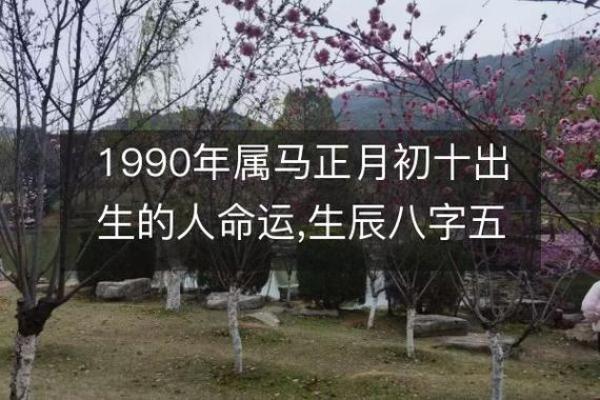 90年属马女性命运解析:智慧与敢于追求的完美结合 90年属马女性命运解析:智慧与敢于追求的完美结合