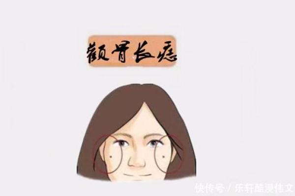 2019年45岁女性的命运解析:揭秘运势与生活的深层联系 2019年45岁女性的命运解析:揭秘运势与生活的深层联系