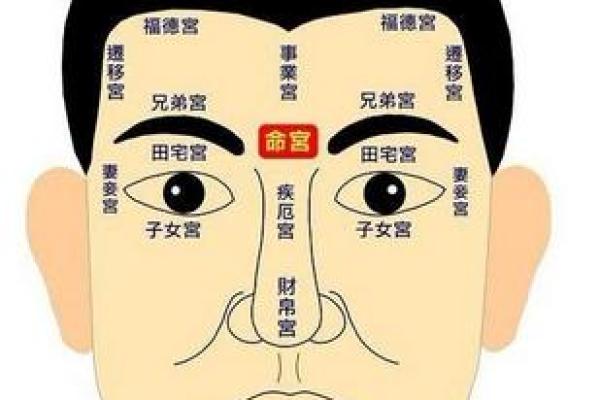 2019年45岁女性的命运解析:揭秘运势与生活的深层联系 2019年45岁女性的命运解析:揭秘运势与生活的深层联系