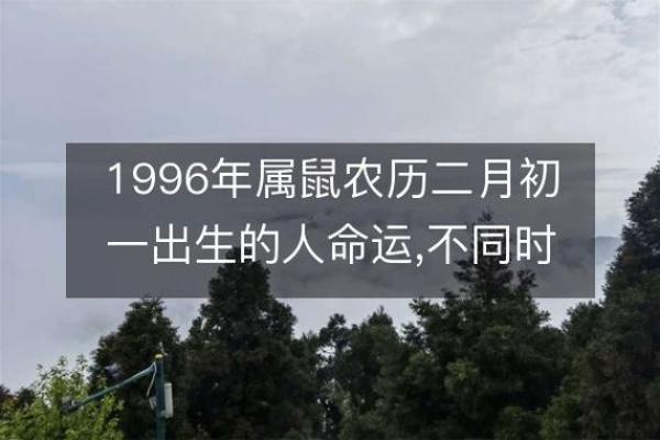 深入探讨:农历1996年属鼠的人命运解析 深入探讨:农历1996年属鼠的人命运解析