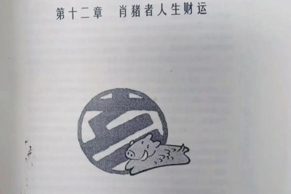 2019年属猪人士的命理解析与人生运势展望 2019年属猪人士的命理解析与人生运势展望