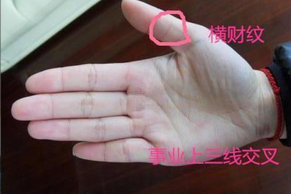 女命财运解析:揭秘她们财运背后的秘密与象征 女命财运解析:揭秘她们财运背后的秘密与象征