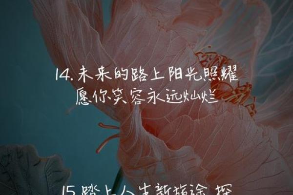 1962年属鸡的命运解析:奇妙人生的多彩篇章 1962年属鸡的命运解析:奇妙人生的多彩篇章