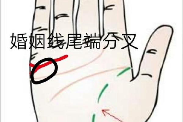 揭示女生右手的命运密码：从手相看人生轨迹