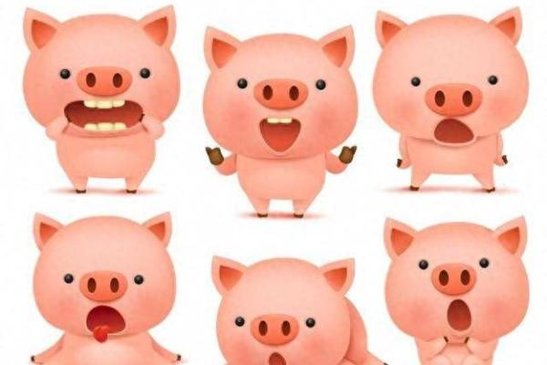 属猪人的命运与运势解析:1959年出生的你该如何把握人生机遇? 属猪人的命运与运势解析:1959年出生的你该如何把握人生机遇?