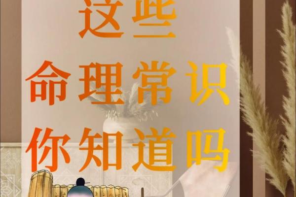 丁丑甲辰甲午是什么命？揭示五行命理的深奥智慧！