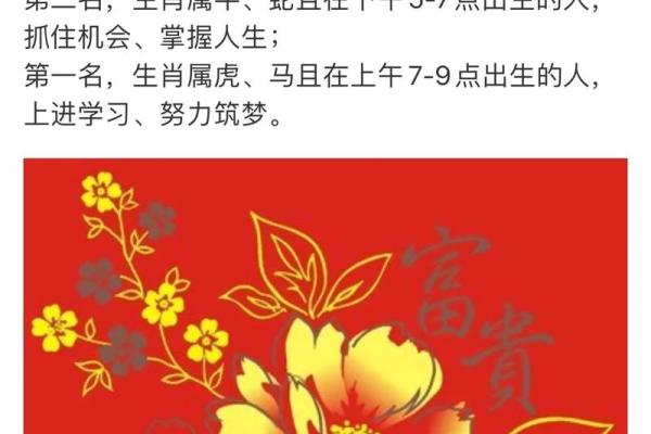 命格高代表什么生肖？揭示生肖背后的神秘力量！