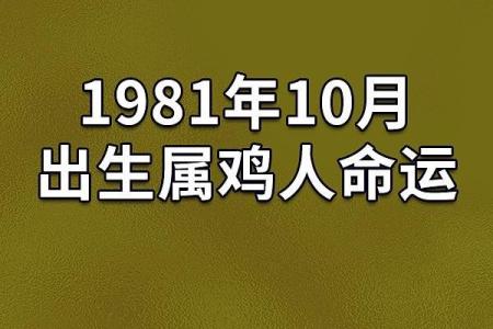 1981年属鸡男孩的命运解析与性格特征