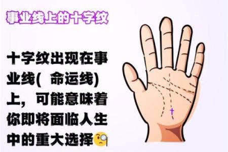 命造：探索人生与命运的奥秘与智慧