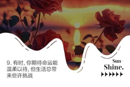 认识庚辰命：独特的命格与人生旅程探秘