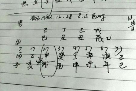 农历2015年出生的人命运解析与性格特点解析