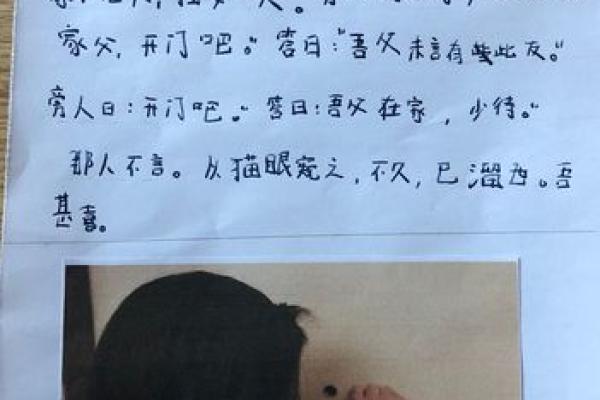 赏命似风,成语如歌:追寻语言的魅力与智慧 赏命似风,成语如歌:追寻语言的魅力与智慧