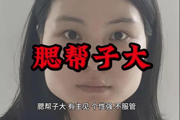 腮帮大的男人:他们的命运与性格揭示 腮帮大的男人:他们的命运与性格揭示