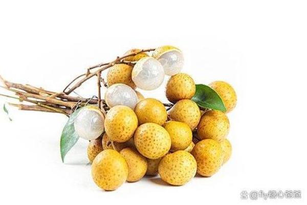 吃什么补命最快最好：让身体焕发活力的美食推荐