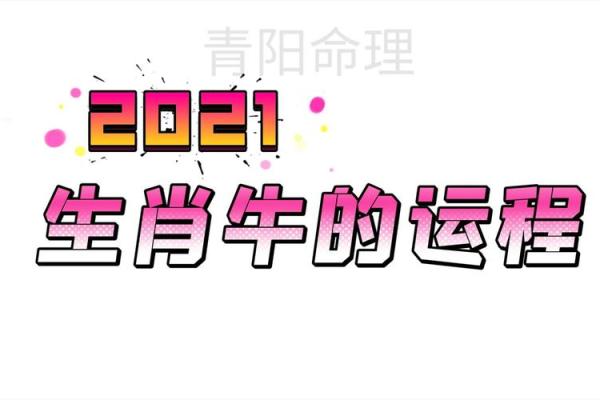 2021年出生的小孩命理解析：生肖牛的独特命运和潜力