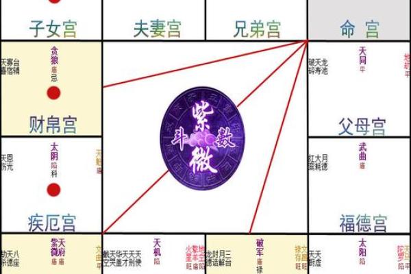 命无主星的独特魅力与人生轨迹探析 命无主星的独特魅力与人生轨迹探析